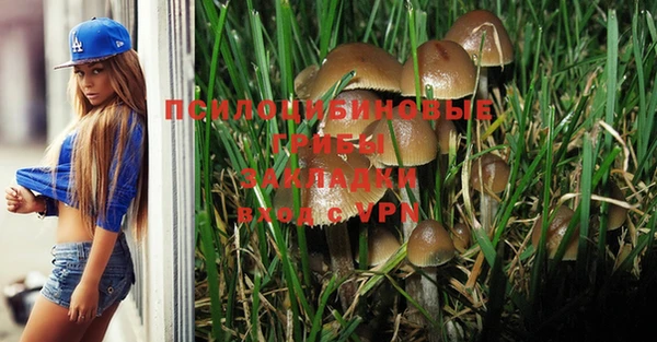 соль ск Гусь-Хрустальный