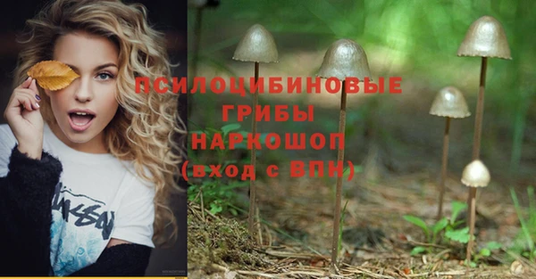 MDMA Гусев
